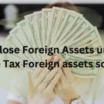 Foreign Assets